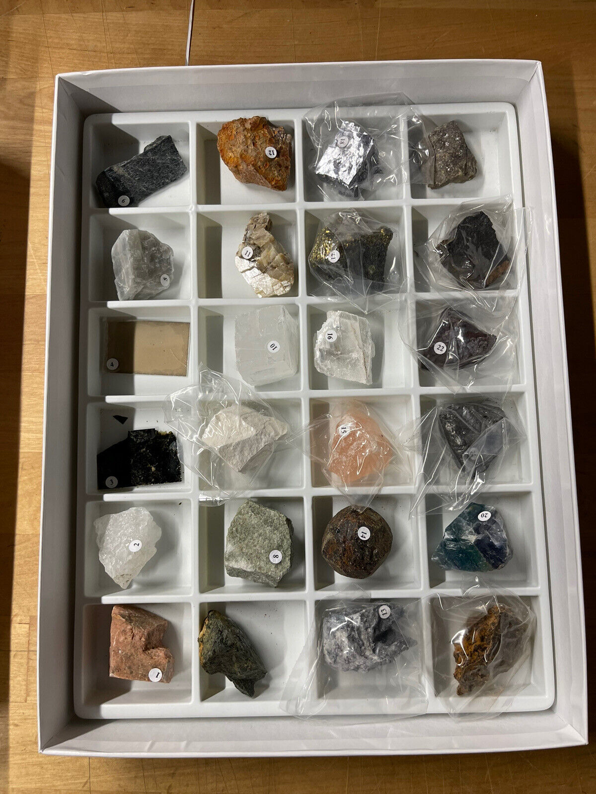 New Ward's Natural Science Rock Mineral Specimen Samples Geology Collection 24pk