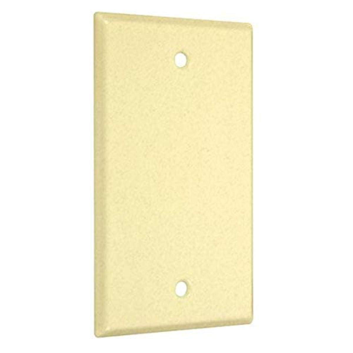 Hubbell-Bell Standard Metallic Wallplate with Blank